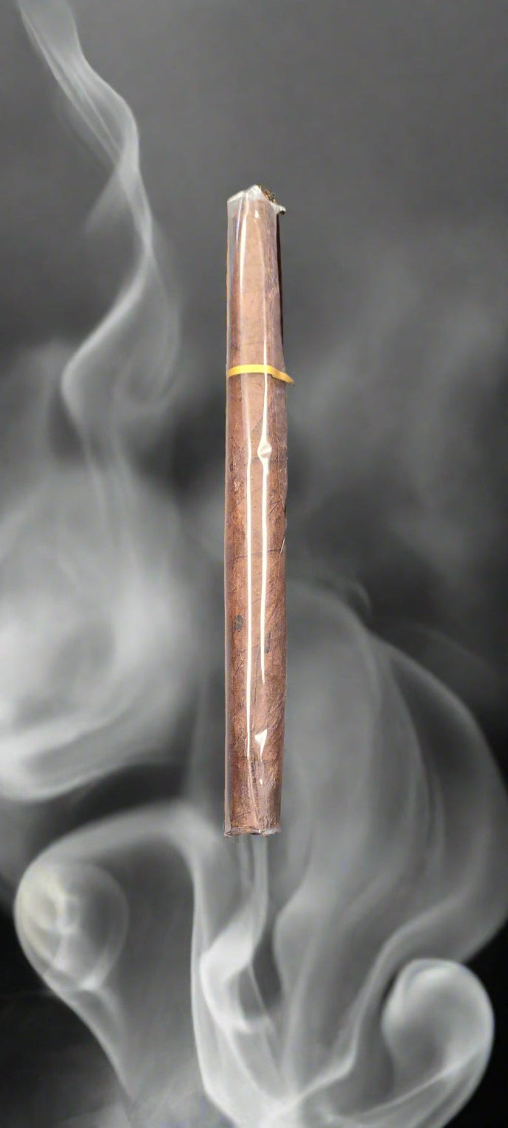 Kentucky Cheroots